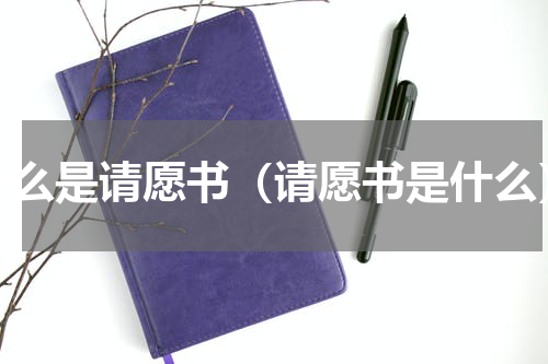 什么是请愿书（请愿书是什么）