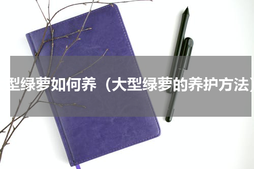 大型绿萝如何养（大型绿萝的养护方法）