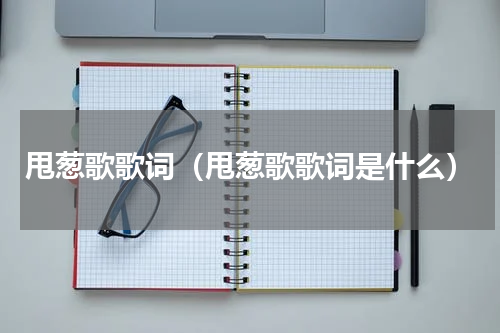 甩葱歌歌词（甩葱歌歌词是什么）