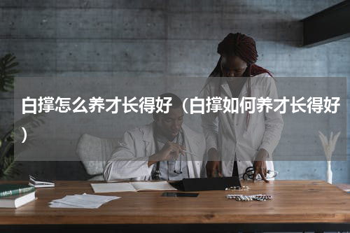 白撑怎么养才长得好（白撑如何养才长得好）