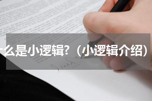 什么是小逻辑?（小逻辑介绍）