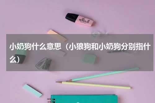 小奶狗什么意思（小狼狗和小奶狗分别指什么）