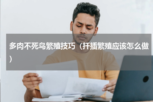 多肉不死鸟繁殖技巧（扦插繁殖应该怎么做）