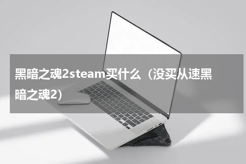 黑暗之魂2steam买什么（没买从速黑暗之魂2）