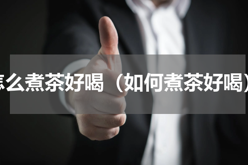 怎么煮茶好喝（如何煮茶好喝）