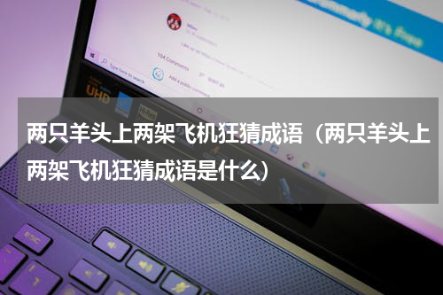 两只羊头上两架飞机狂猜成语（两只羊头上两架飞机狂猜成语是什么）