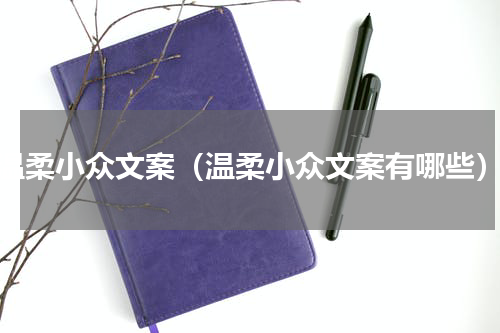 温柔小众文案（温柔小众文案有哪些）