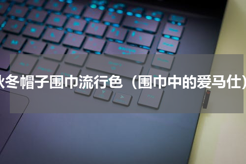 秋冬帽子围巾流行色（围巾中的爱马仕）