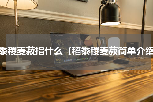 稻黍稷麦菽指什么（稻黍稷麦菽简单介绍）