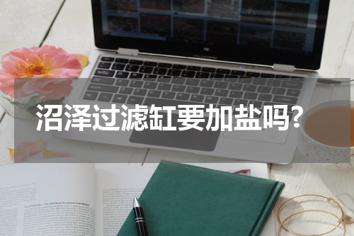 沼泽过滤缸要加盐吗?