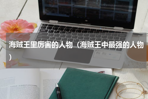 海贼王里厉害的人物（海贼王中最强的人物）
