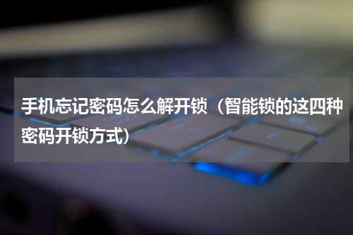 手机忘记密码怎么解开锁（智能锁的这四种密码开锁方式）