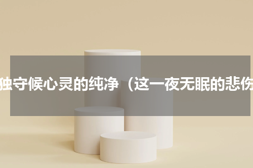 孤独守候心灵的纯净（这一夜无眠的悲伤）