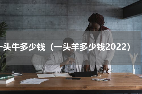 一头牛多少钱（一头羊多少钱2022）