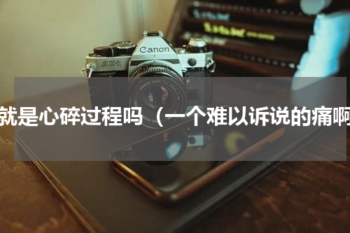 这就是心碎过程吗（一个难以诉说的痛啊）