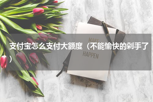 支付宝怎么支付大额度（不能愉快的剁手了）