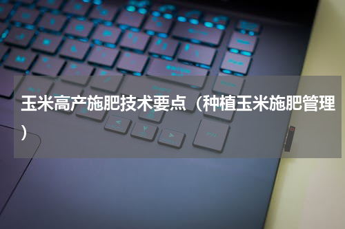 玉米高产施肥技术要点（种植玉米施肥管理）