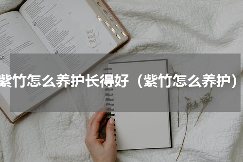 紫竹怎么养护长得好（紫竹怎么养护）