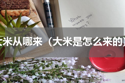 大米从哪来（大米是怎么来的）