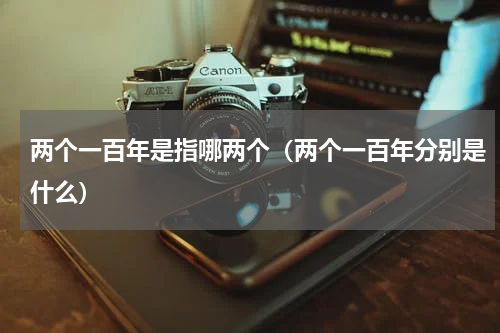 两个一百年是指哪两个（两个一百年分别是什么）