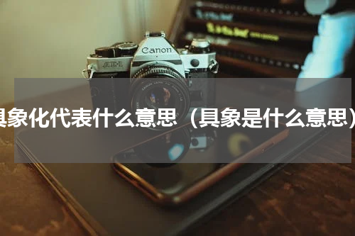 具象化代表什么意思（具象是什么意思）