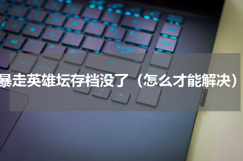 暴走英雄坛存档没了（怎么才能解决）