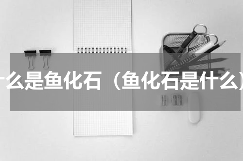 什么是鱼化石（鱼化石是什么）