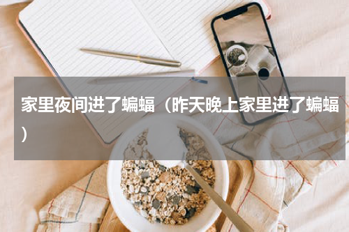 家里夜间进了蝙蝠（昨天晚上家里进了蝙蝠）