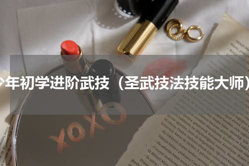 少年初学进阶武技（圣武技法技能大师）