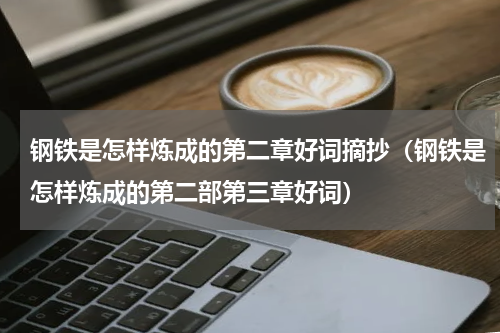 钢铁是怎样炼成的第二章好词摘抄（钢铁是怎样炼成的第二部第三章好词）