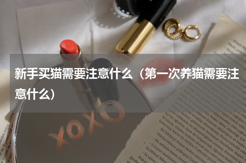 新手买猫需要注意什么（第一次养猫需要注意什么）