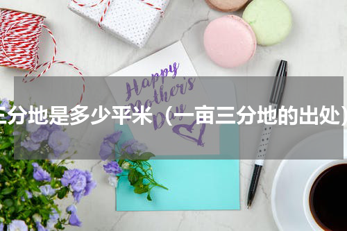 三分地是多少平米（一亩三分地的出处）