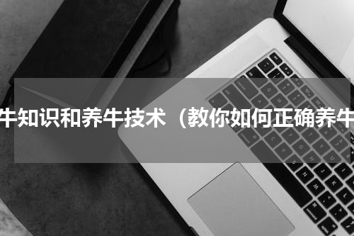 养牛知识和养牛技术（教你如何正确养牛）