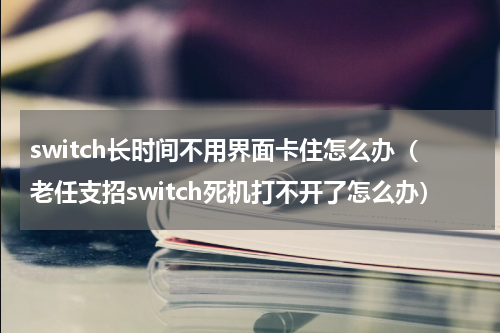 switch长时间不用界面卡住怎么办（老任支招switch死机打不开了怎么办）