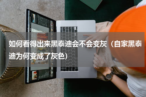 如何看得出来黑泰迪会不会变灰（自家黑泰迪为何变成了灰色）