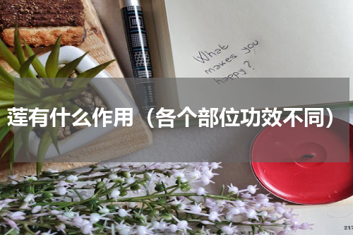 莲有什么作用（各个部位功效不同）
