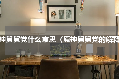 原神舅舅党什么意思（原神舅舅党的解释）