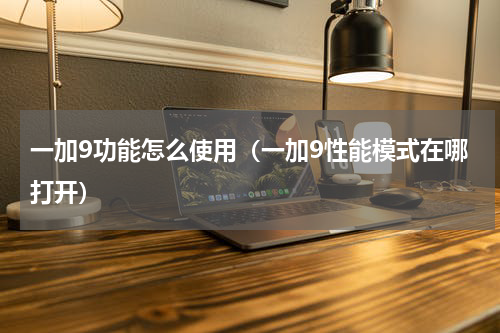 一加9功能怎么使用（一加9性能模式在哪打开）