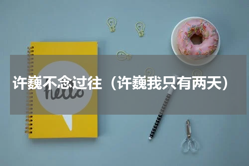 许巍不念过往（许巍我只有两天）