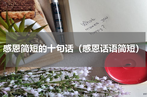 感恩简短的十句话（感恩话语简短）