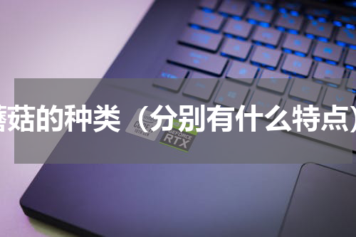 蘑菇的种类（分别有什么特点）
