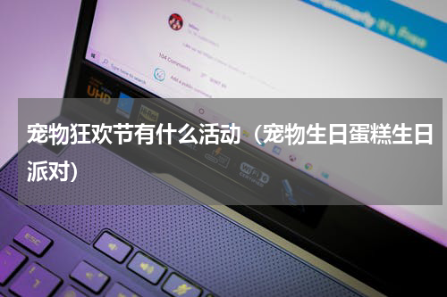 宠物狂欢节有什么活动（宠物生日蛋糕生日派对）