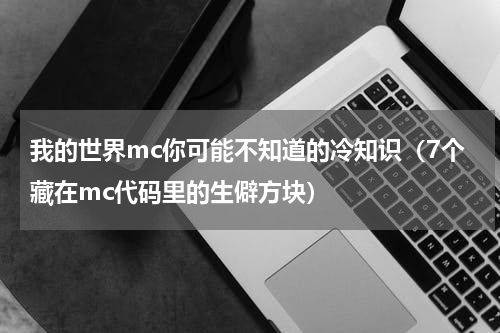 我的世界mc你可能不知道的冷知识（7个藏在mc代码里的生僻方块）