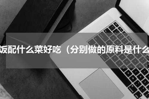 米饭配什么菜好吃（分别做的原料是什么）