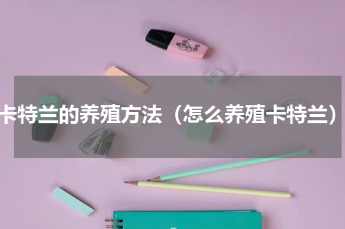 卡特兰的养殖方法（怎么养殖卡特兰）