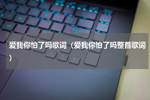 爱我你怕了吗歌词（爱我你怕了吗整首歌词）
