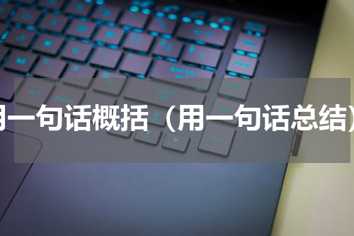 用一句话概括（用一句话总结）