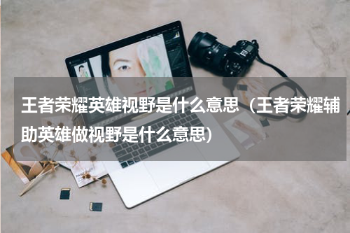 王者荣耀英雄视野是什么意思（王者荣耀辅助英雄做视野是什么意思）