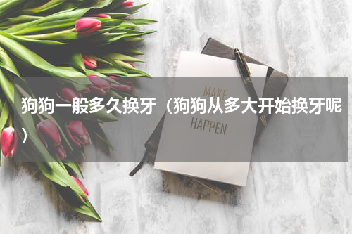 狗狗一般多久换牙（狗狗从多大开始换牙呢）