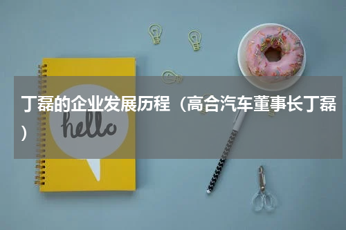 丁磊的企业发展历程（高合汽车董事长丁磊）